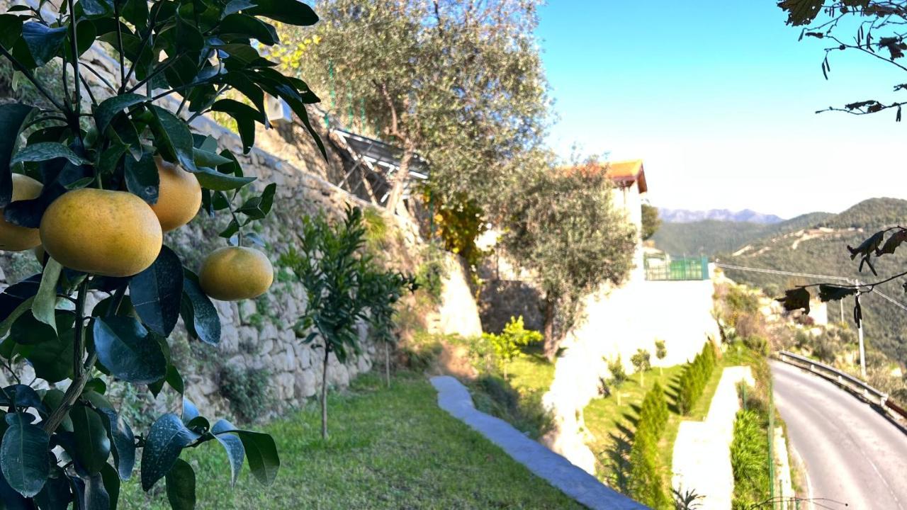 Villa Di Campagna Con Vista Mare 5 Camere Da Letto Pampara 外观 照片