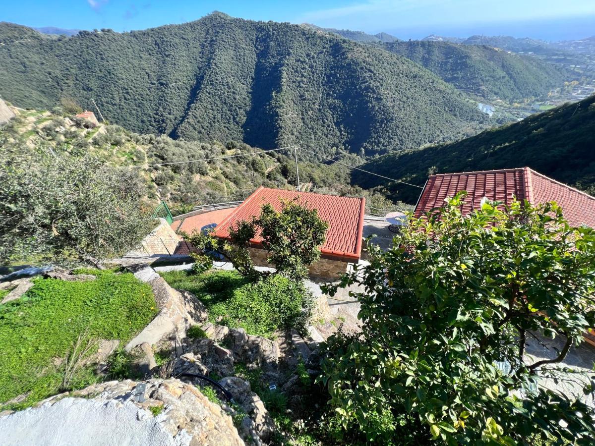 Villa Di Campagna Con Vista Mare 5 Camere Da Letto Pampara 外观 照片