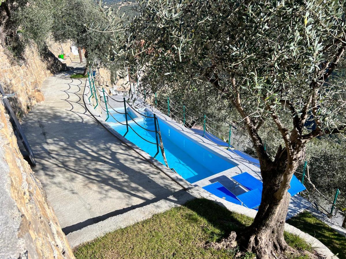 Villa Di Campagna Con Vista Mare 5 Camere Da Letto Pampara 外观 照片