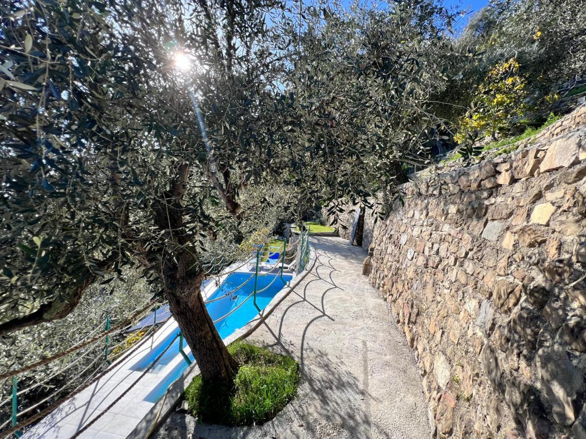 Villa Di Campagna Con Vista Mare 5 Camere Da Letto Pampara 外观 照片